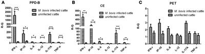 Limitations of Using IL-17A and IFN-γ-Induced Protein 10 to Detect Bovine Tuberculosis